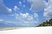 Beach of Zanzibar, Tanzania, East Africa