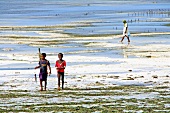 Women on beach in Zanzibar Island, Tanzania, East Africa