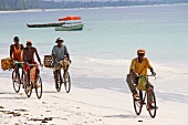People cycling on beach of Zanzibar, Tanzania, East Africa