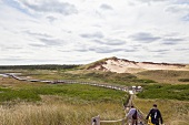 Sand dunes and wooden bridge in Greenwich,  Prince Edward Island National Park, Canada