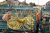Basket with ropes uded for fishing, Nova Scotia, Canada