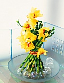 Vasenspaß, Orchideen, gelb, Glücksbambus, Gluecksbambus