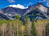 View of Bow river Valley parkway in Alberta, Canada