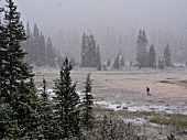Snow falling down in Icefield Parkway, Banff National Park, Alberta, Canada