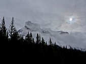View of Icefield Parkway covered with fog, Banff National Park, Alberta, Canada 