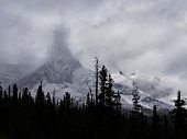 View of Icefield Parkway with snow and fog in Banff National Park, Alberta, Canada