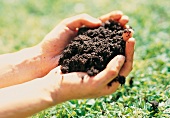 Weekend Gärtner, eine Hand voll Boden, Erde, Mutterboden
