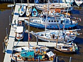 View of investors boats in Granville Island, Vancouver, British Columbia, Canada