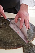 Turbot being cut for preparation of turbot medallion with spring onions and choron sauce