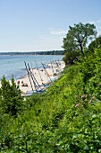 View of Sierksdorf beach in bay of Luebeck, Holstein, Schleswig Holstein, Germany