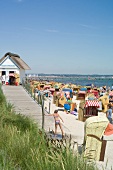 Hooded beach chairs and people on beach in Scharbeutz, Schleswig Holstein, Germany