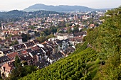 View of cityscape from Schlossberg, Freiburg, Germany