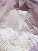 Close-up of cream