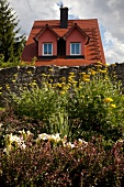 Yellow perennials and barberry against stone wall with house