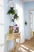 Light blue corridor with sideboard and plants hanging from ceiling