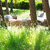 Idyllic seating area under trees with wicker furniture in summery garden