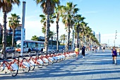 Barcelona, Port Olympic Promenade Fahrradverleih, bicing