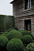 Boxwood trees in garden in front of wood house Le Jardin Plume, Auzouville-sur-Ry, France
