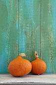 Hokkaid squash in front of wooden wall