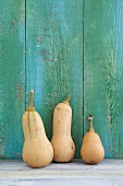 Butternut squash in front of wooden wall