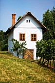 Weinanbaugebiet Eisenberg, Ferienhaus