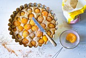 Baking with stevia: wholemeal apricot cake