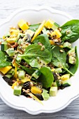 Spinach salad with avocado, mango and bean sprouts