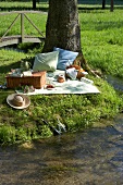 Picknick am Bach untern Baum in der Natur, Kissen, Decke, Wiese