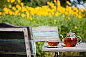 A glass teapot and a cup on a garden table