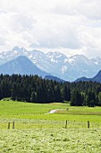 An alpine view near Ofterschwang in Allgäu in Bavaria, Germany