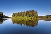 Lettland, Erglu Klintis, Adlerfelsen am Gauja Fluss bei Cesis