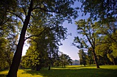 Lettland, Riga, Schloss Mesothen. Schlosspark
