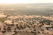 Portugal, Alentejo, bei Monsaraz