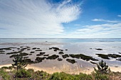 Portugal, Algarve, Reserva Natural do Estuario do Sado