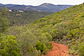 Portugal, Algarve, Wanderung durch rote Erde, Via Algarviana