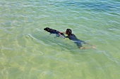 Portugal, Algarve, Wasserhund beim Training