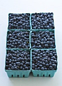 Six Cardboard Cartons of Blueberries