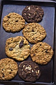 Verschiedene Cookies auf einem Backblech