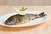 A grilled trout