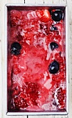 Homemade Berry Sorbet