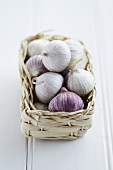 A basket of garlic bulbs