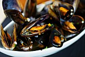 Mussels in a white wine broth (close-up)