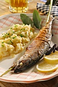 Grilled fish on a stick (a speciality from Munich, Germany)