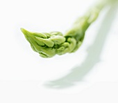 An asparagus tip