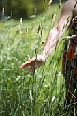 A girl in a field of long grass