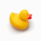Yellow Rubber Duck on a White Background