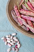 Maine Grown Cranberry Beans; In and Out of Pod