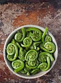 Maine Fiddleheads in a Bowl; From Above