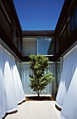 Modern gestalteter Innenhof mit einzelnem Baum und wehenden Vorhängen an offenen Terrassenfenstern