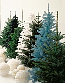 Various coloured decorative Christmas tress and white decorative paper balls